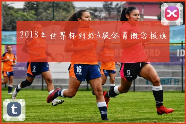 2018年世界杯利好A股体育概念板块