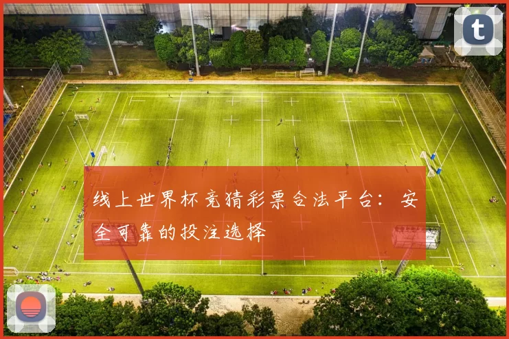 线上世界杯竞猜彩票合法平台:安全可靠的投注选择