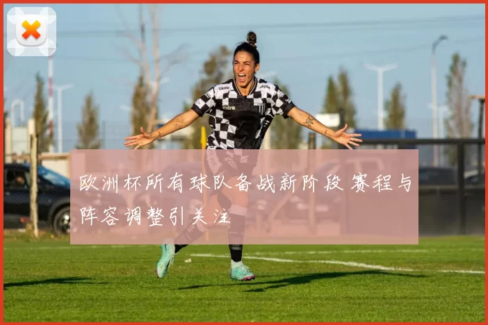 欧洲杯所有球队备战新阶段 赛程与阵容调整引关注
