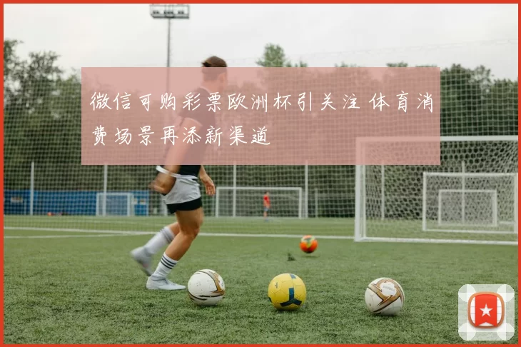 微信可购彩票欧洲杯引关注 体育消费场景再添新渠道