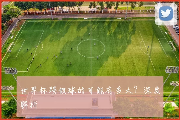 世界杯踢假球的可能有多大?深度解析