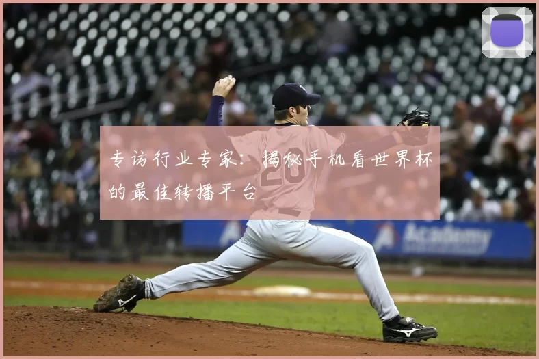 专访行业专家：揭秘手机看世界杯的最佳转播平台