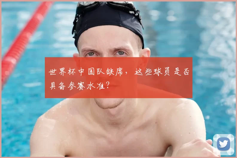 世界杯中国队缺席，这些球员是否具备参赛水准？