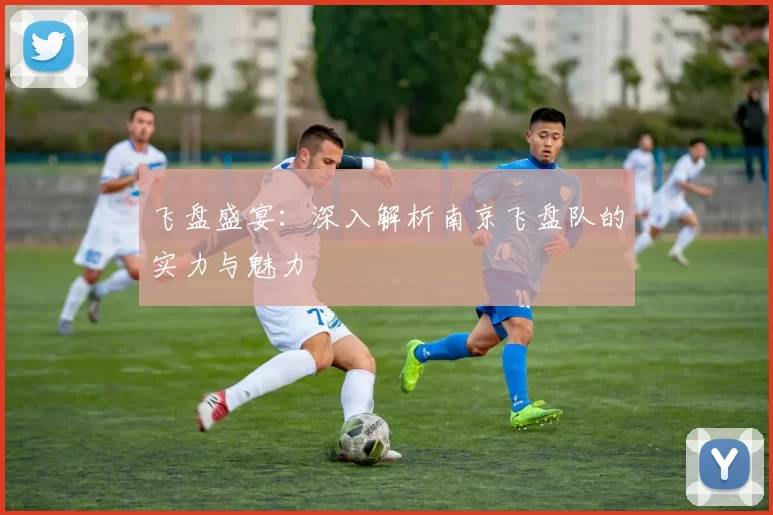 飞盘盛宴:深入解析南京飞盘队的实力与魅力