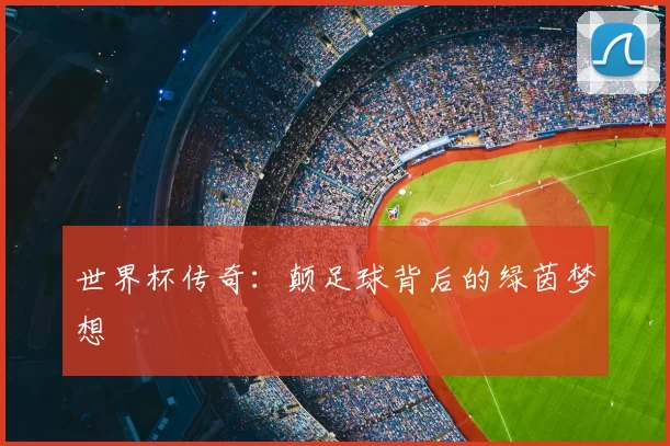 世界杯传奇：颠足球背后的绿茵梦想