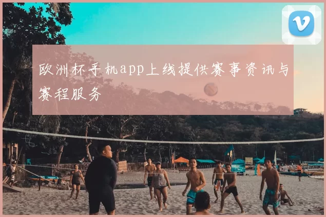 欧洲杯手机app上线提供赛事资讯与赛程服务