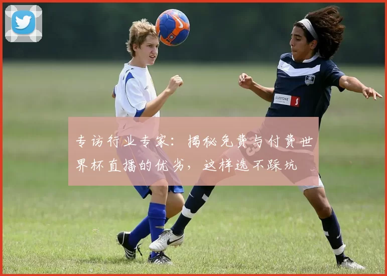 专访行业专家：揭秘免费与付费世界杯直播的优劣，这样选不踩坑