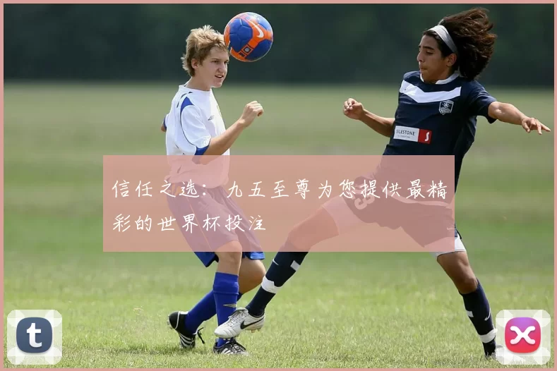 信任之选：九五至尊为您提供最精彩的世界杯投注