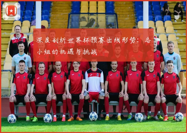 深度剖析世界杯预赛出线形势:各小组的机遇与挑战