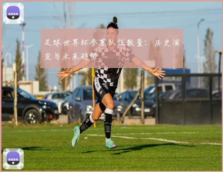 足球世界杯参赛队伍数量:历史演变与未来趋势